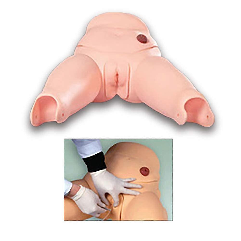 Female Catheterization Training Model with Realistic Anatomy for Nursing School Practice