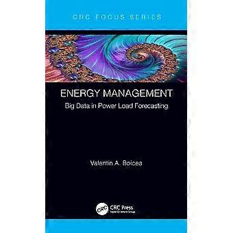 Energy Management Big Data In Power Load Forecasting - Valentin A. Boicea