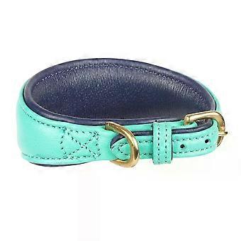 Shires Digby and Fox Padded Greyhound Collar - Teal