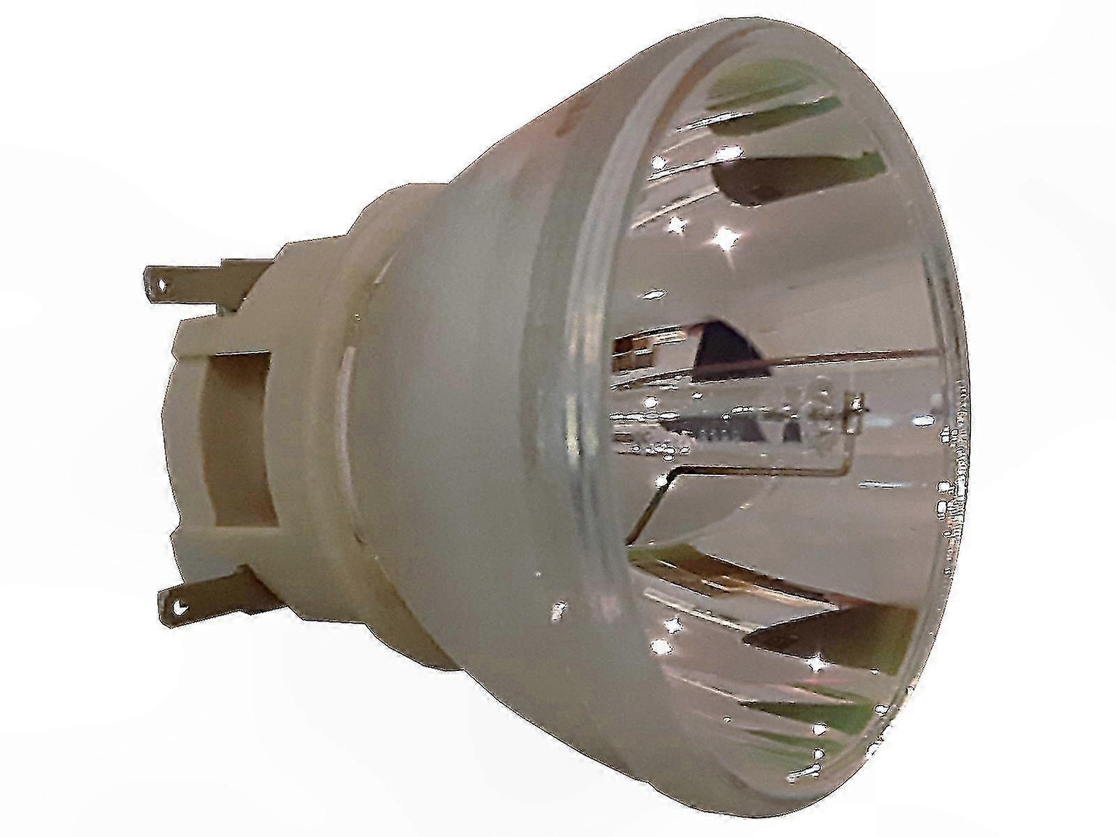 Projector Lamp 240-170W E20.7 Base Compatible with Various Projectors Replacement for U Models