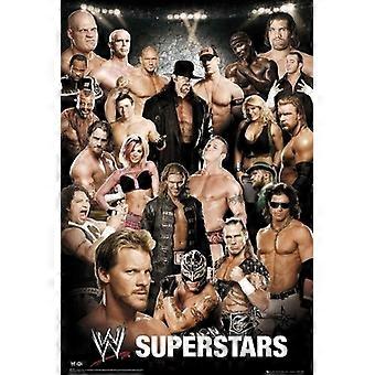 WWE Superstars World Wrestling Collage Jigsaw Puzzle NEW FOO182