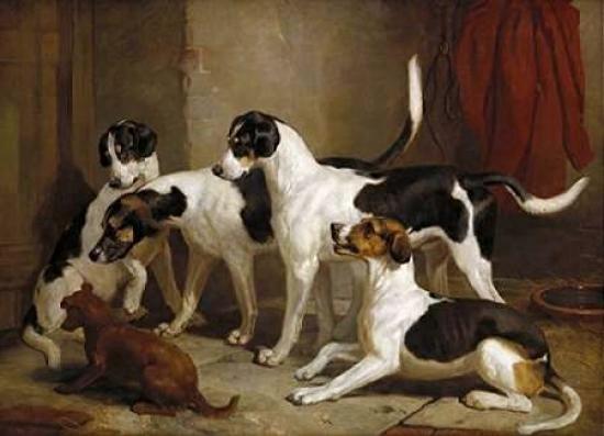 The Puckeridge Foxhounds Poster