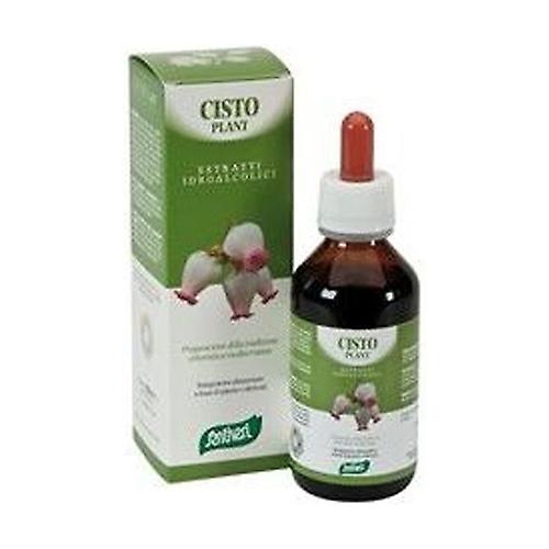 Cysto plant # 05 100 ml