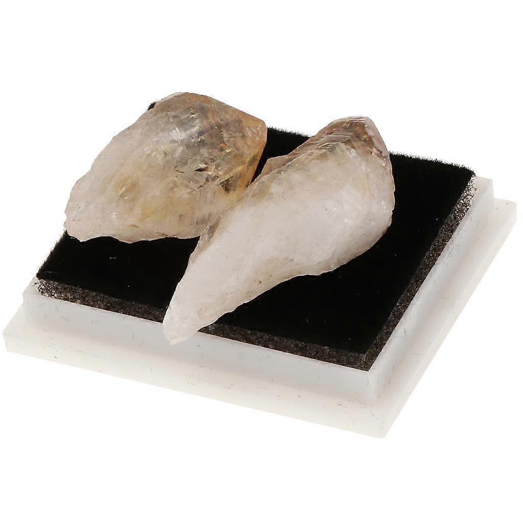 Rock & Mineral Collection Geology Science Kit Earth Science Toy - Citrine