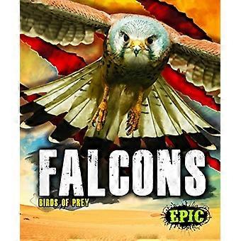 Falcões - Nathan Sommer