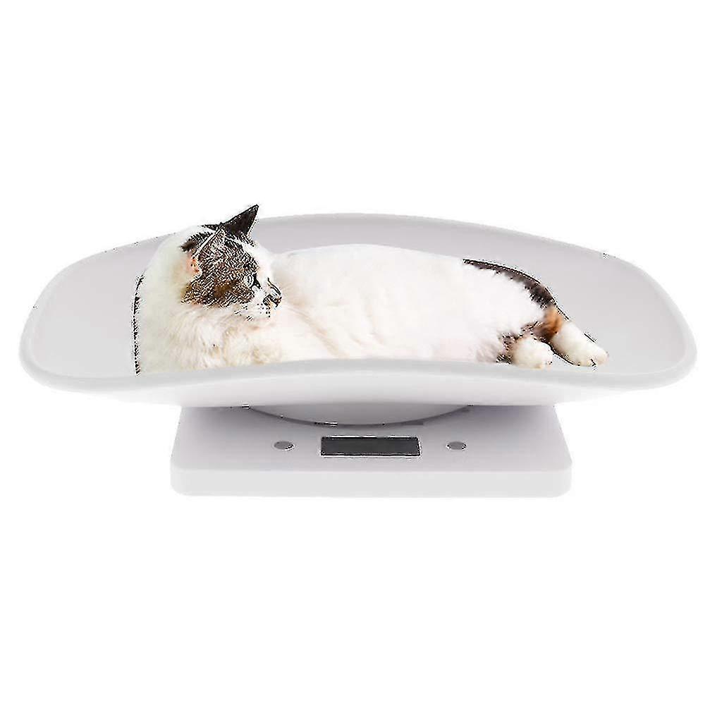 Pet Scale Multifunctional Scale