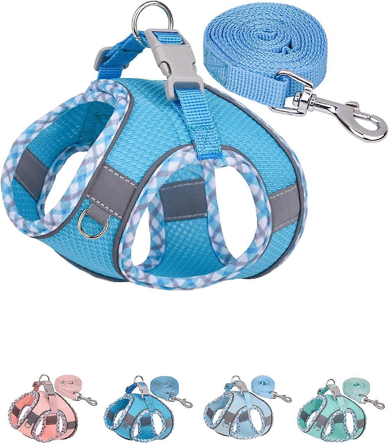 Petank Dog Harness for Small Medium Large Dogs No Pull, Puppy Harness and Leash Set, Easy Walk Dog Harness for Walking, Running, Training, Small Dog H