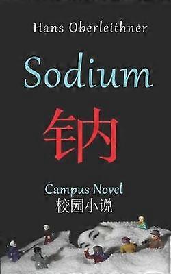 Sodium Campus Novel  EnglishChinese