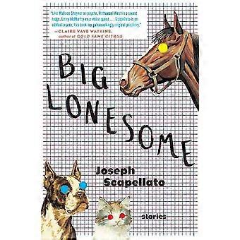 Big Lonesome