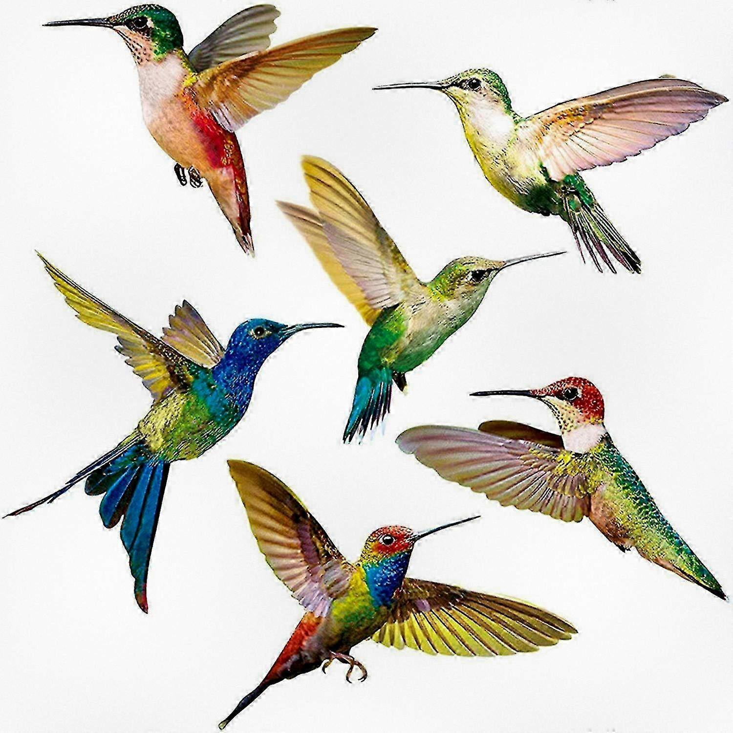 Hummingbird Window Decals 6-Piece Set Anti-Collision Bird Stickers for Glass