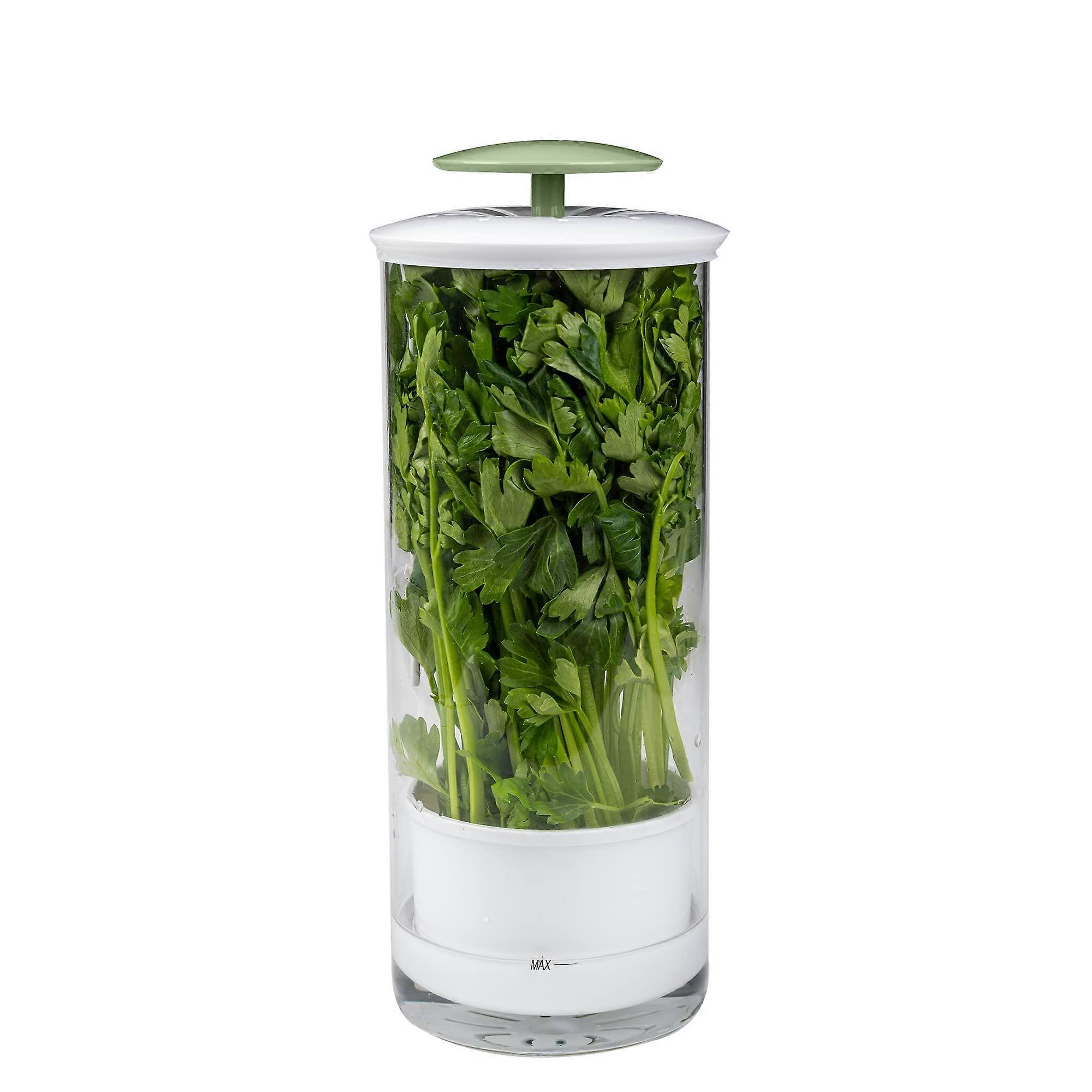Herb Keeper Preserver Refrigerator for Storage