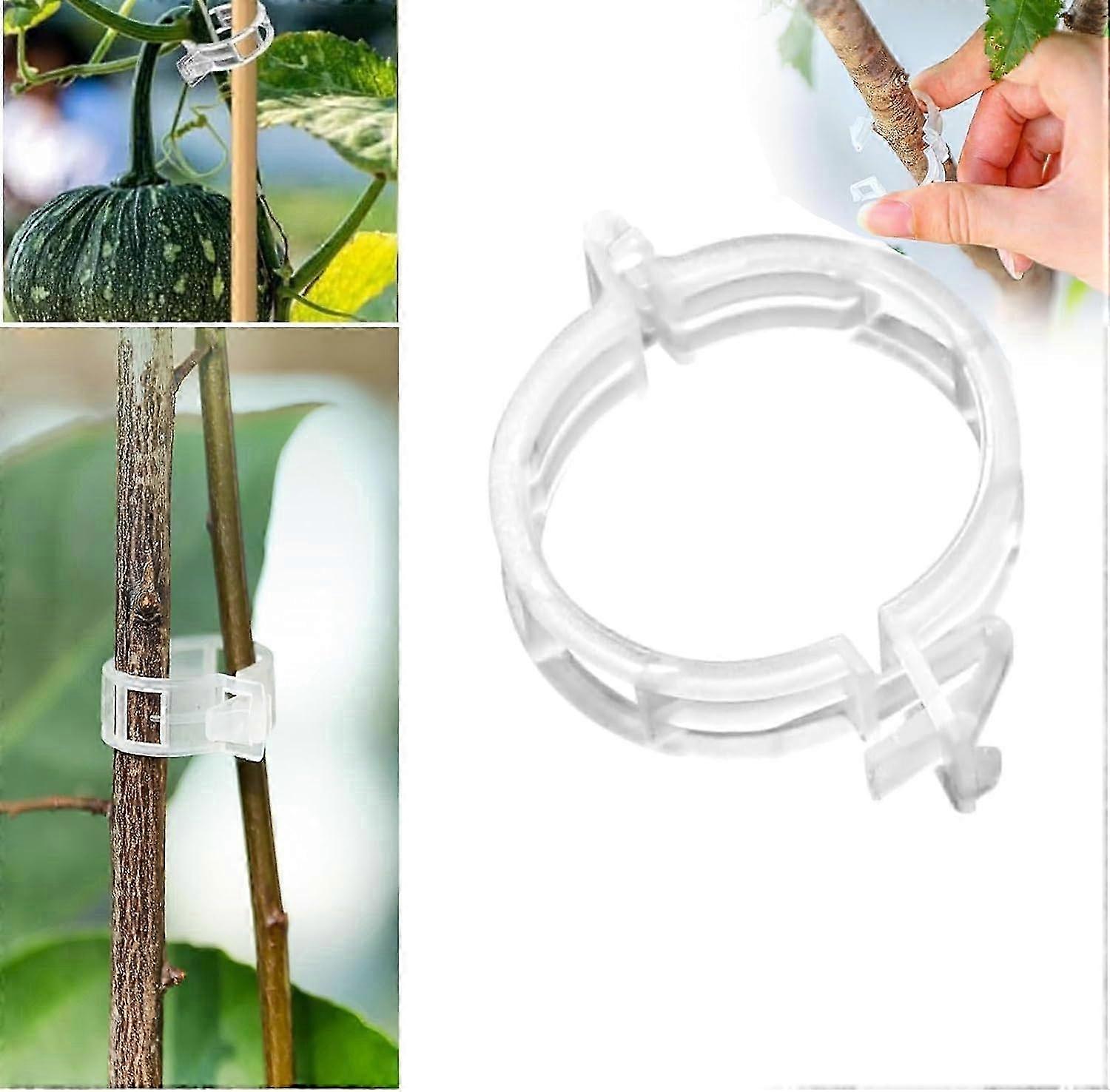 Reusable Plant Support Clips for Vegetables, Grape and Tomato Vines (50, W)