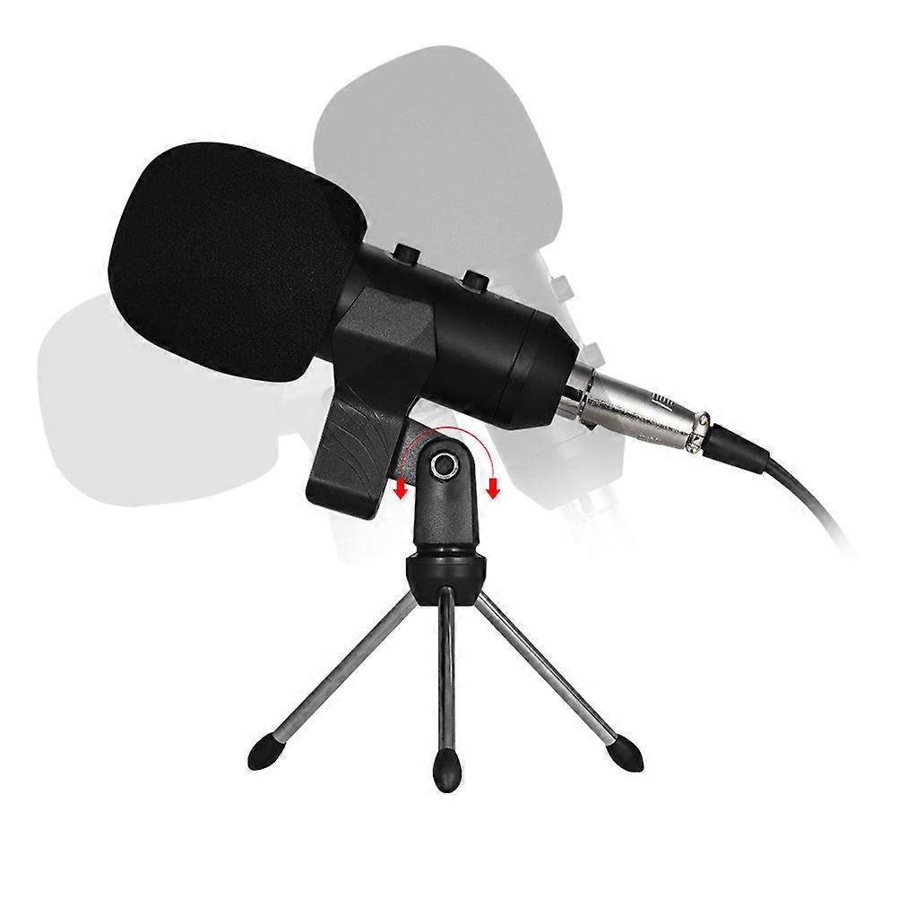 Audio Recording Microphone For Musicians In Black With Low Self-Noise And 1Set