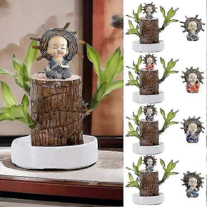 巴西木水绿植养幸运木盆栽四季植物