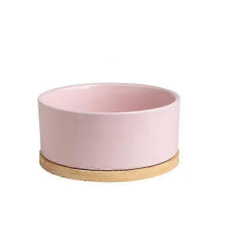 Heated Pet Waterer with Adjustable Warmth for Home and Travel Use