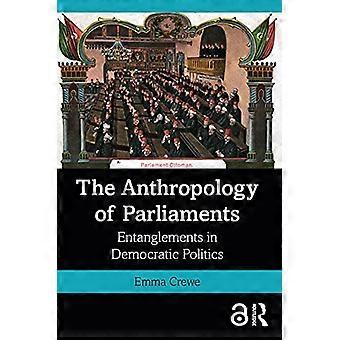 L’anthropologie des parlements : les enchevêtrements dans la politique démocratique