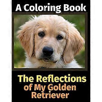 Odbicia mojego Golden Retrievera: Kolorowanka