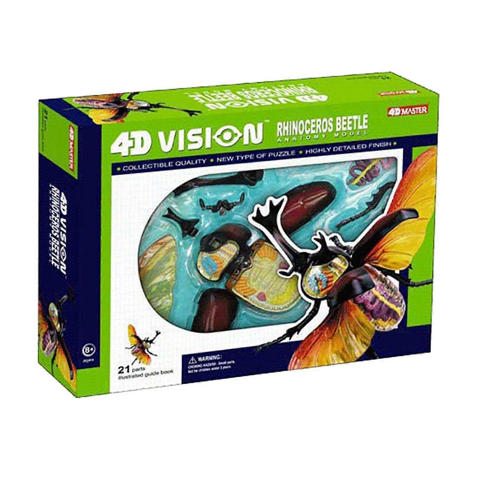 Insect Anatomy Model with Clear Internal Visualization, 28 Detachable Components, Educational Display