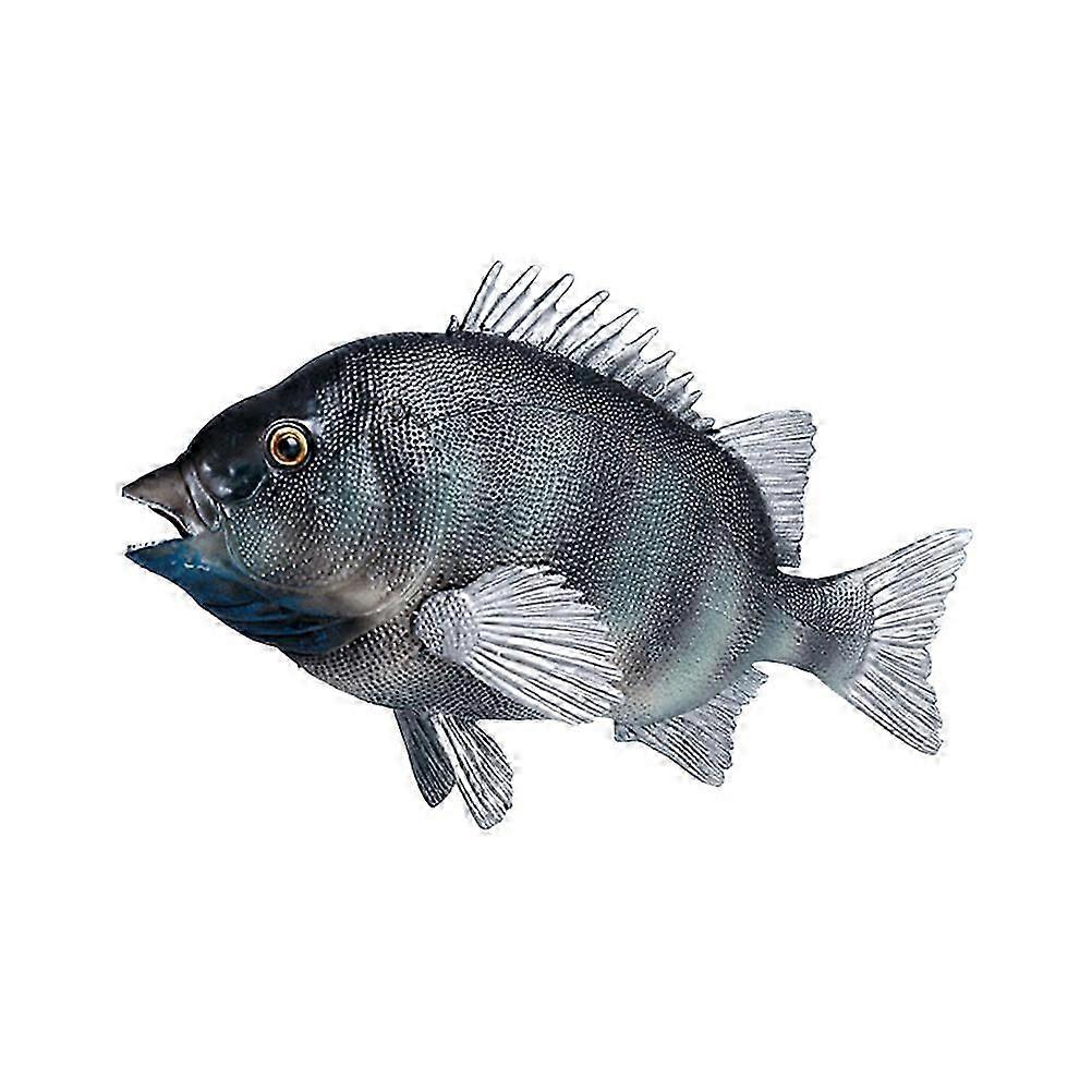 Simulation Rock Bream Fish Model, Plastic, for Decoration