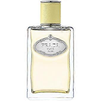 Gingembre EDP infuusio 100 ml