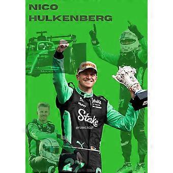 NICO HULKENBERG Immersive Jigsaw Puzzles DS-312