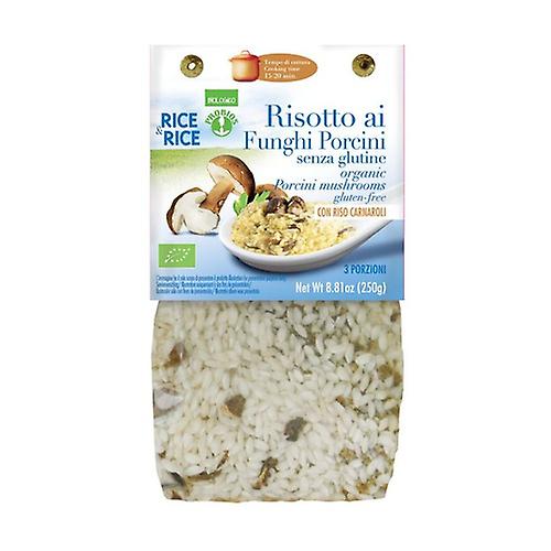 Porcini mushroom risotto - with miso 250 g