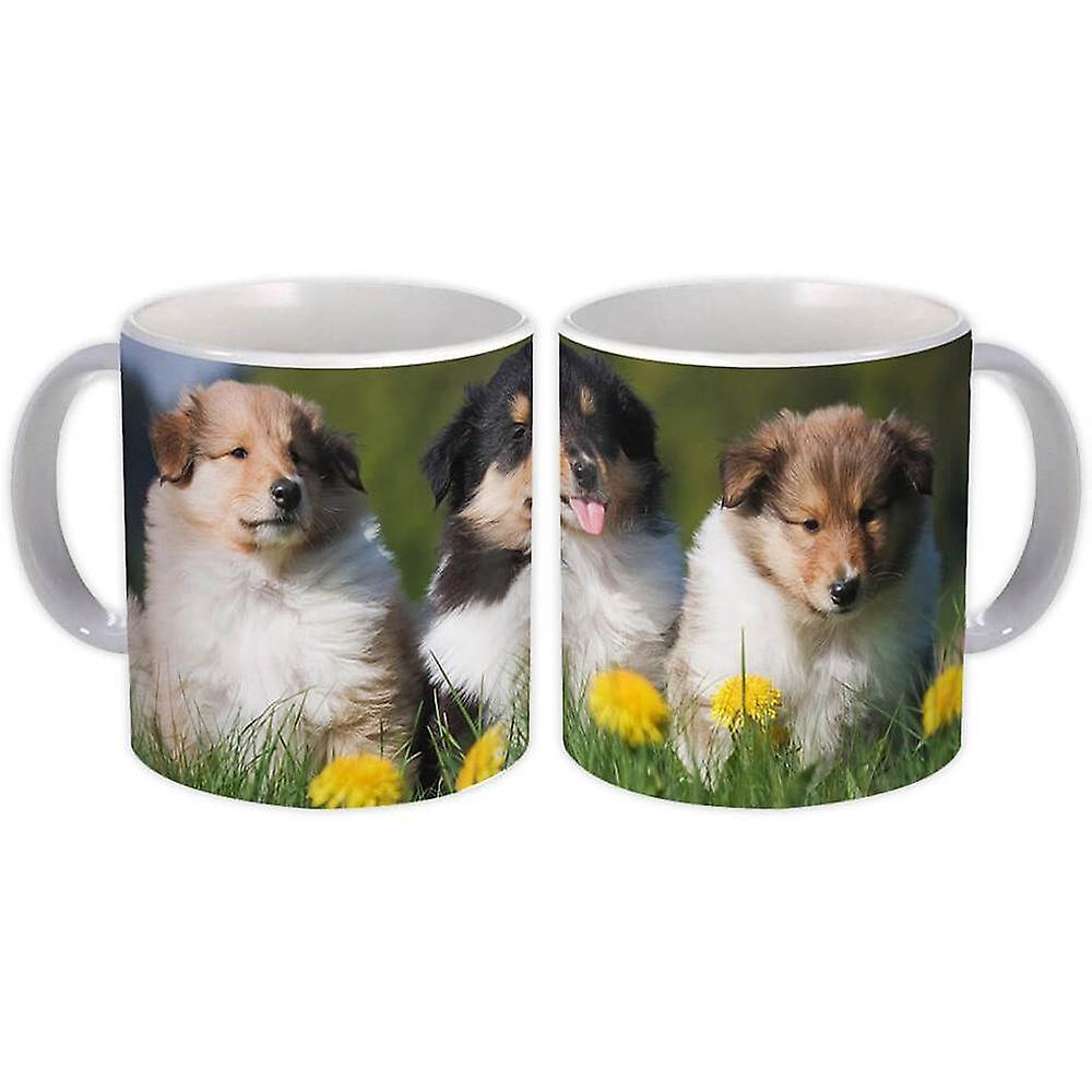 Gift Mug: Collie Dog