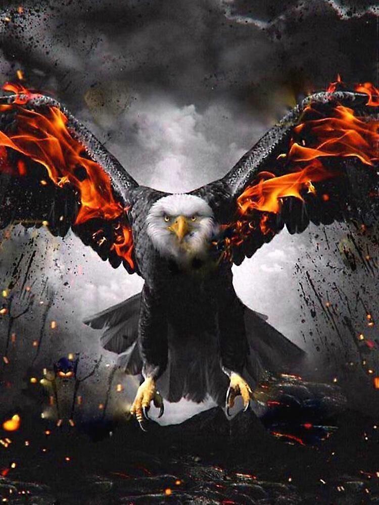 Dww-30 x 40 cm, Flame Eagle Diamond Painting Diamond Embroidery Painting5D Canvas Painting for Children and Adults, Rhinestone Puzzle Set, Drawing Wal