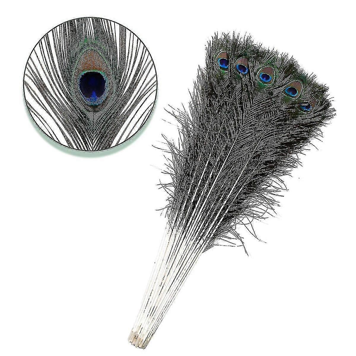 Natural Large Peacock Feathers For Decoration CY