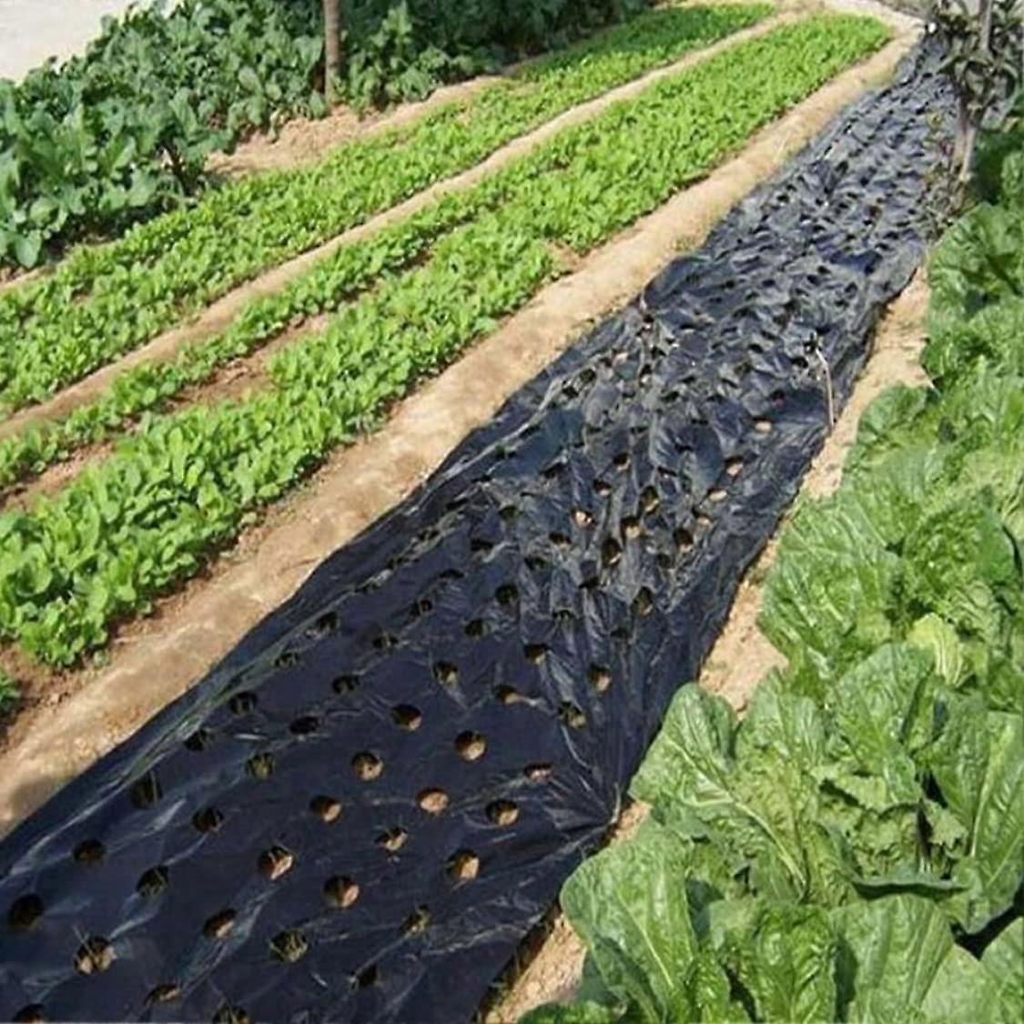 Garden Vegetable Mulch Film 3 x 33 Ft Black PE Plastic Mulch with 5 Holes Perforated for Efficient Plant Growth in Gardens