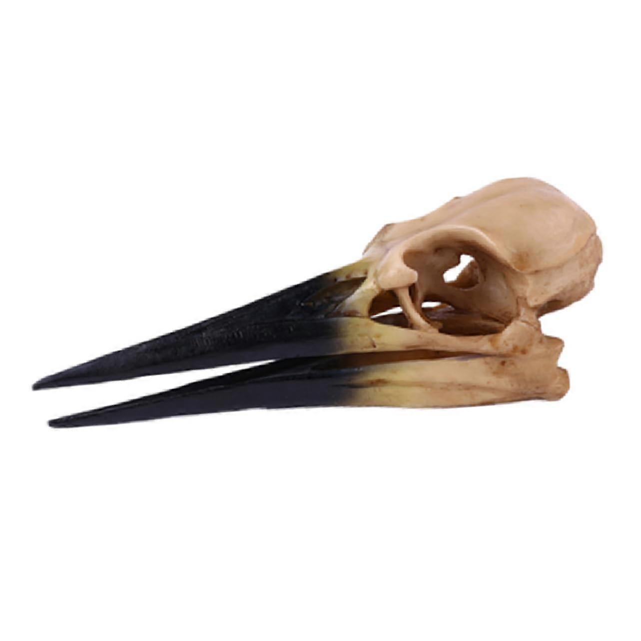 1 piece Skull Decoration Skull Ornament Quality for Halloween and Stylish Home Decor