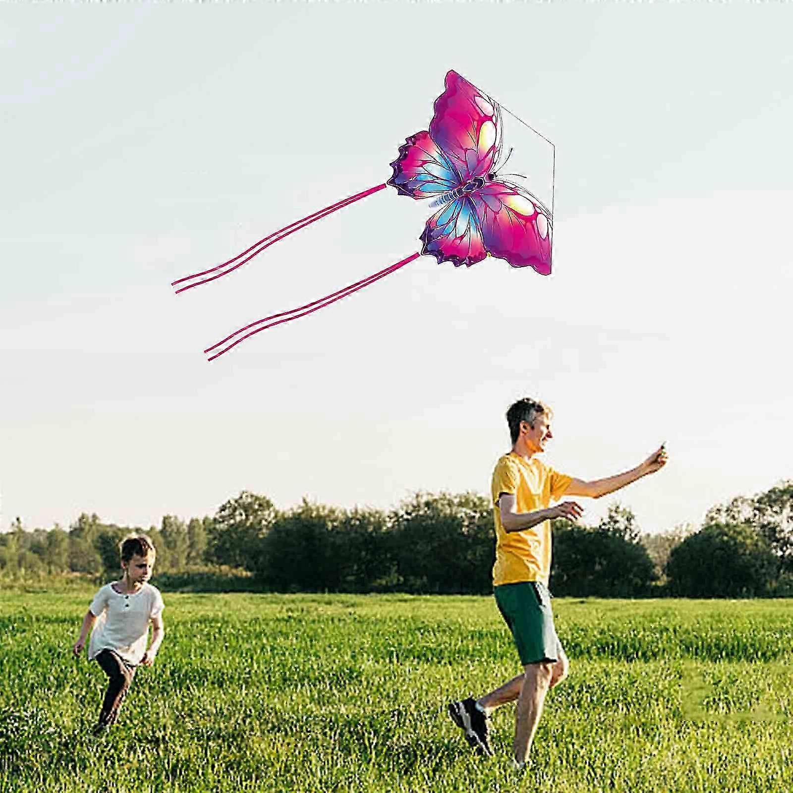 2025 Biomimetic Kites Are Easy To Fly In The Gentle Suitable For Children And Adults They Are Large And High-end With A Long Tail That Floats