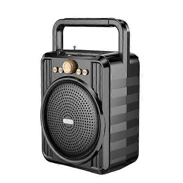 Portable AM FM radio with enhanced antenna and stable signal