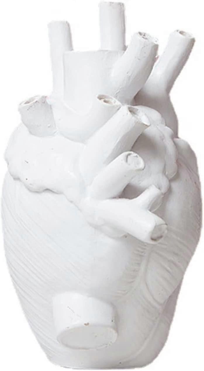 Anatomical Heart-shaped Vase,heart-shaped Resin Flower Pot Sculpture,desktop Resin Planter Vase