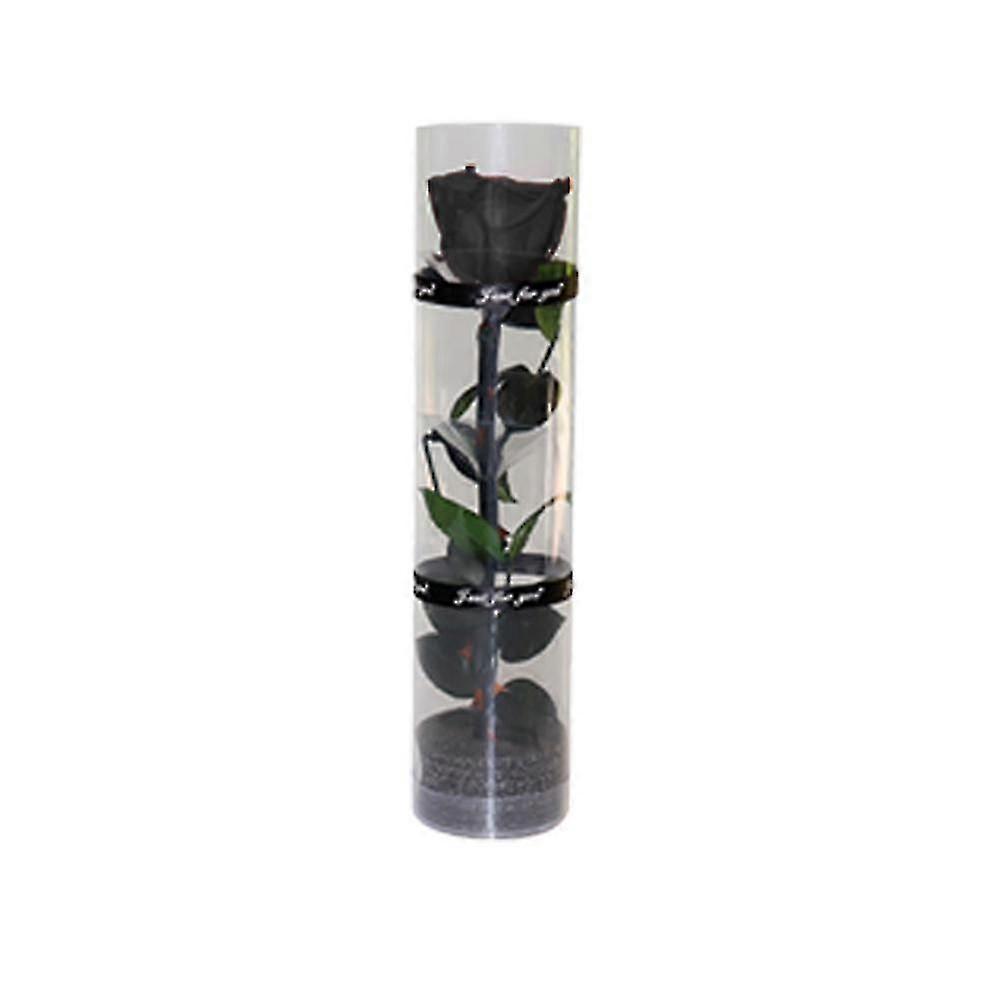 وردة حقيقية محفوظة ، وردة أبدية ، وردة متينة ، وردة مزهرة أبدية