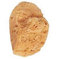 Natural Marine Sponge 1 unit