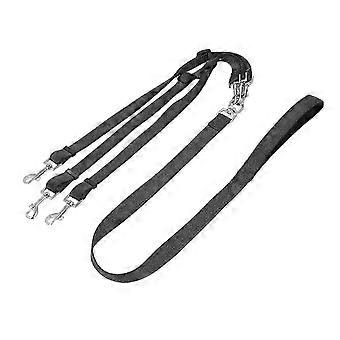 3-Way Adjustable Nylon Dog Leash with Padded Handle for Walking & Training DM