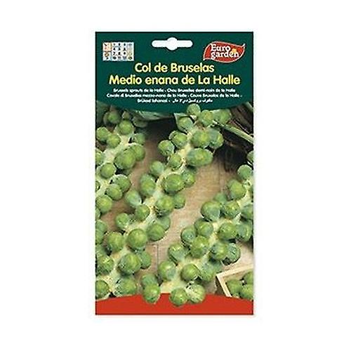 Halle Half Dwarf Brussels Sprout Seeds 3 g