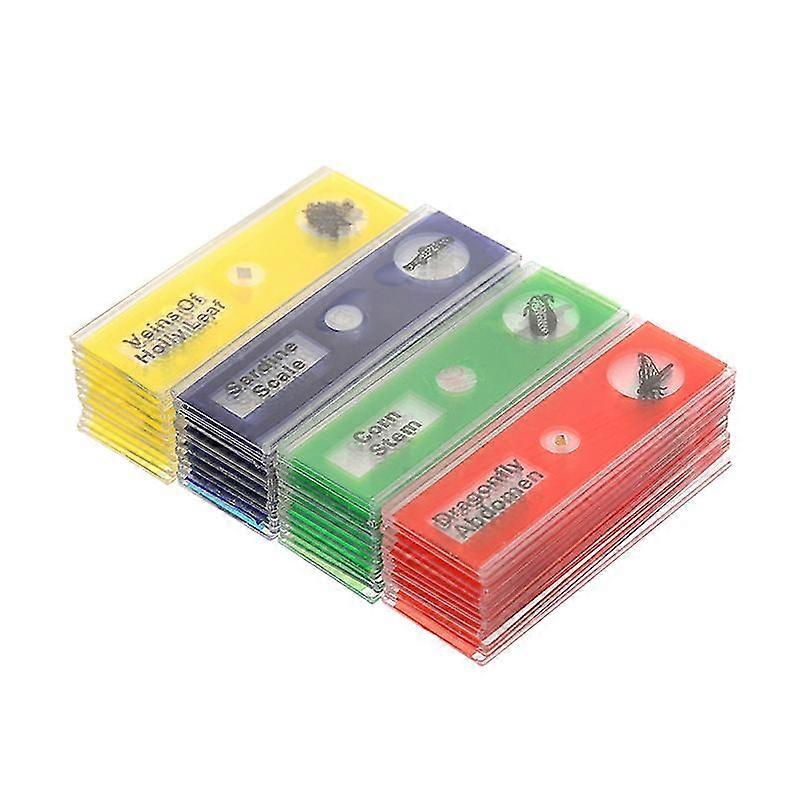48pcs Kids Plastic Sample Specimens Microscope Prepared Slides Of Animals Insects Plants Flowers For Stereo Microscopes (One Color Per Box,Yellow/Red/
