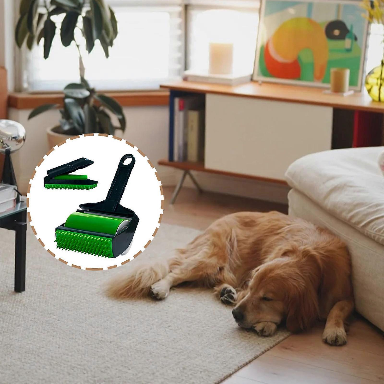 Ensemble de tondeuse à cheveux portable avec tondeuse à cheveux lavable pour chiens et chiens à la maison FLYE4265