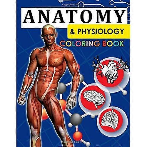 Anatomie & Physiologie Malbuch : 2. Auflage