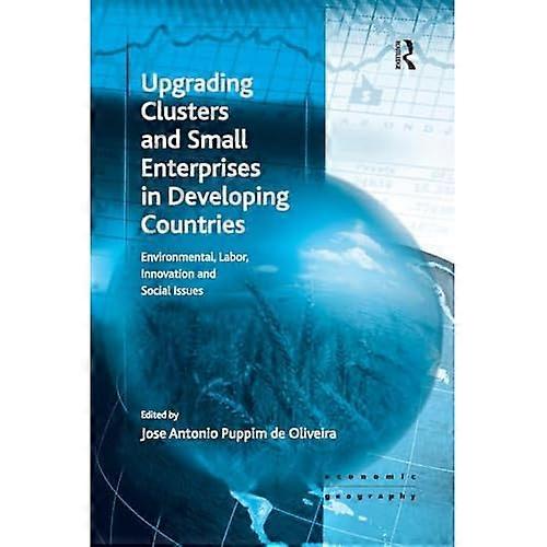 Upgrading Clusters and Small Enterprises in Developing Countries: Environmental, Labor, Innovation and Social Issues