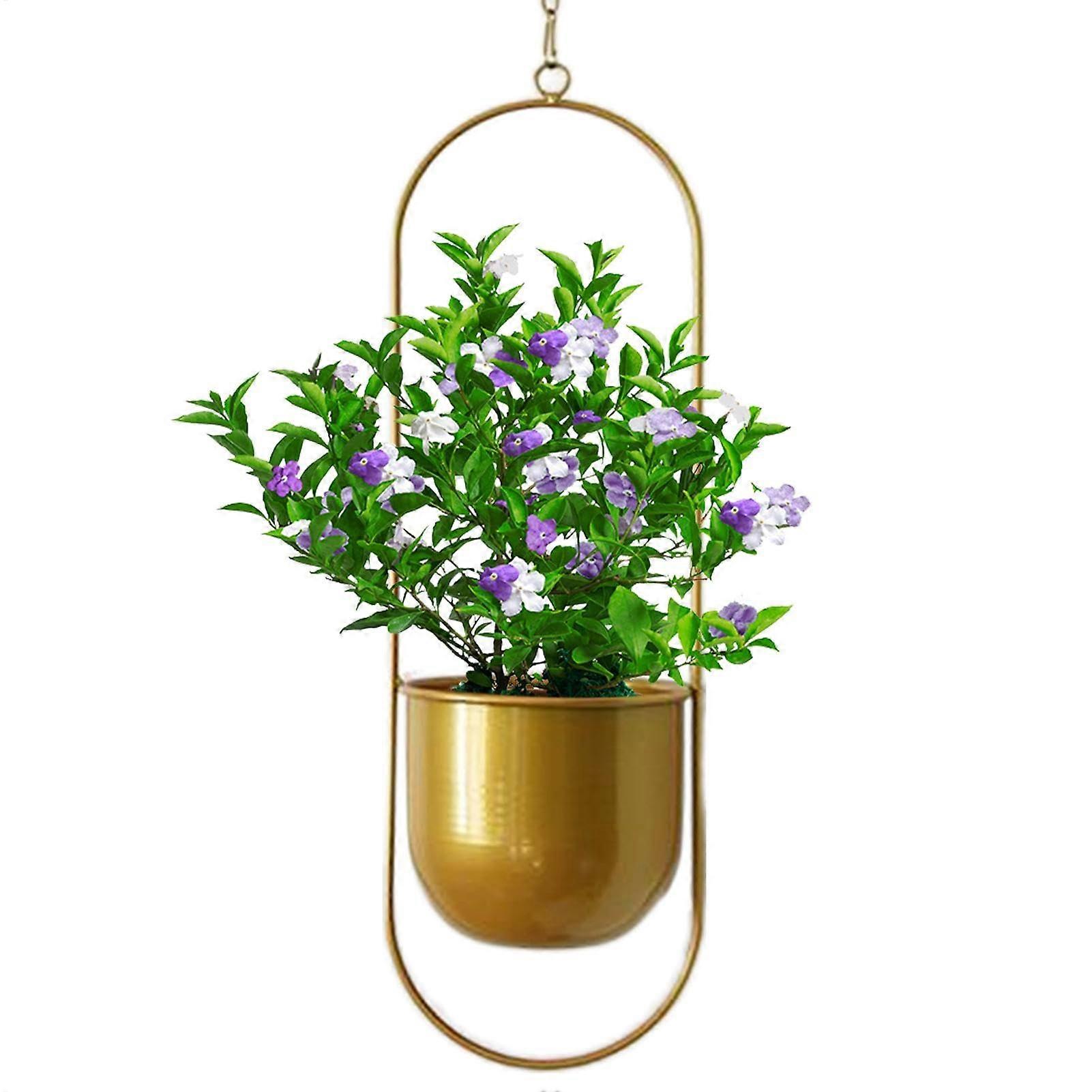 Hangable Pot for indoor plants Decoration for garden house, decorative Metal Chlorophytum Planter