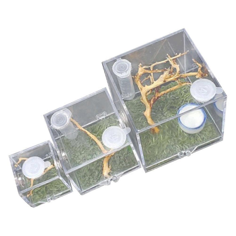 Spider Hatching Case Acrylic Breeding Box Pet Observation Square Shape 3Pcs
