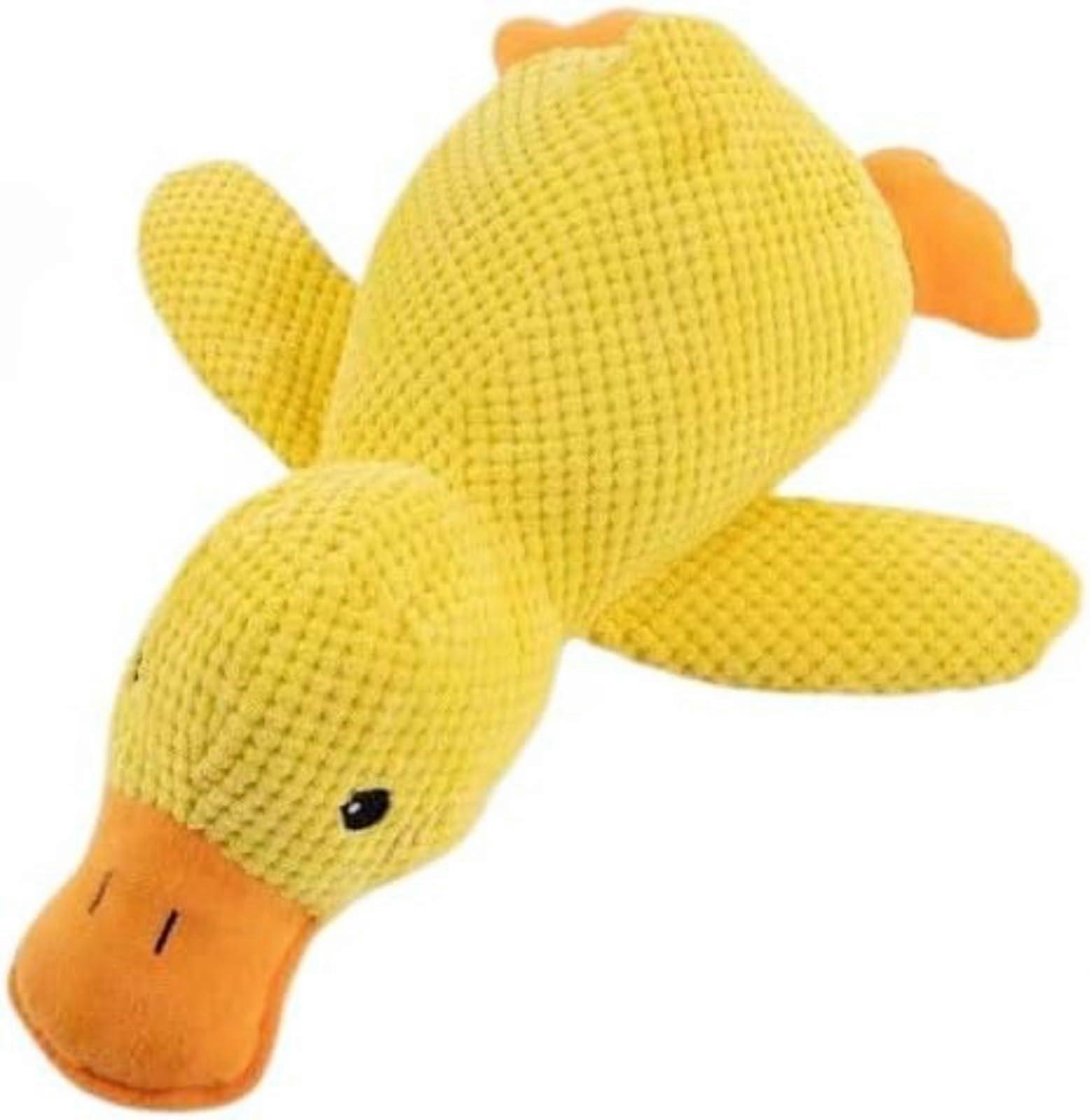 AntiStress Duck, Paw Moon Duck, AntiStress for Dogs