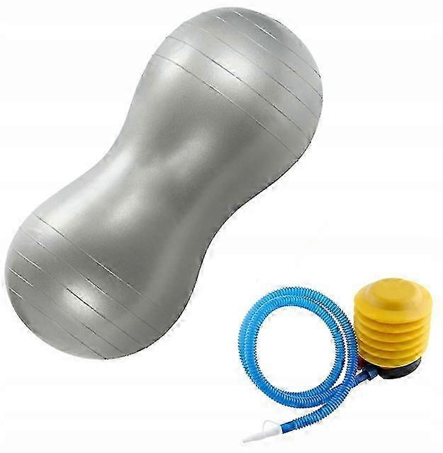 Double Rehabilitation Gymnastic Ball