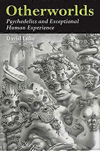 Otherworlds Psychedelics and Exceptional Human Experience