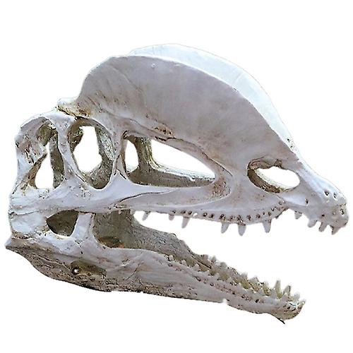 Aquarium Fish Tank Dinosaur Head Skull Ornament Resin Crafts Halloween Props Popular Science Tools