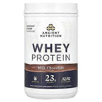 Ancient Nutrition, Whey Protein, Milk Chocolate, 1.42 lb (646 g)