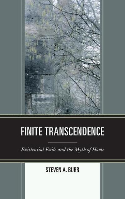 Finite Transcendence by Steven A. Burr Paperback Book